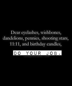 6871_897266350369919_6137352836249508146_n